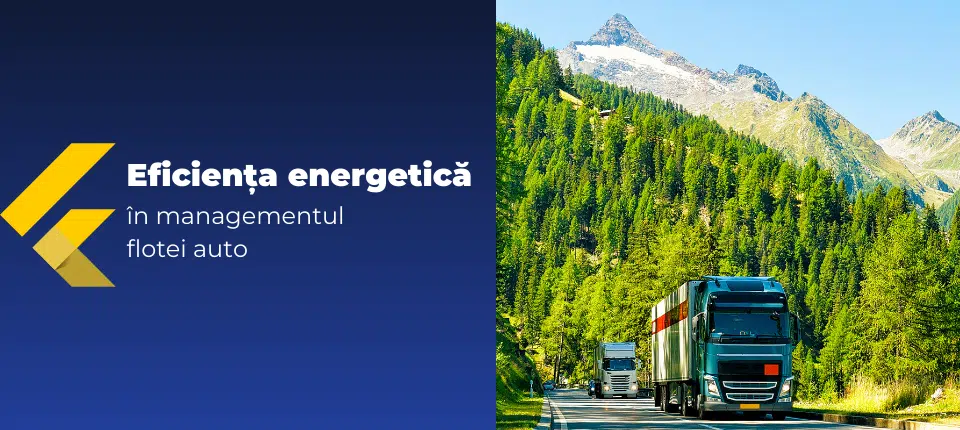 Eficienta energetica in managementul flotei